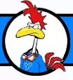 Roost Racing